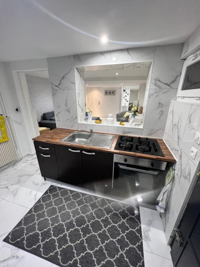 Appartement Proche Marche De Noel De Strasbourg Wolfisheim Екстер'єр фото